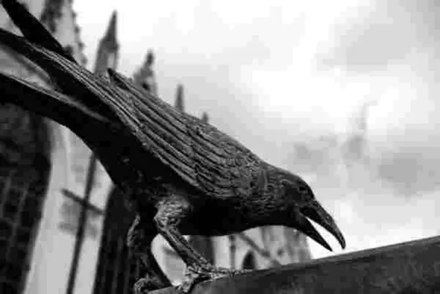 Visite guidée spéciale Halloween : Bruxelles en Histoires et en Légendes